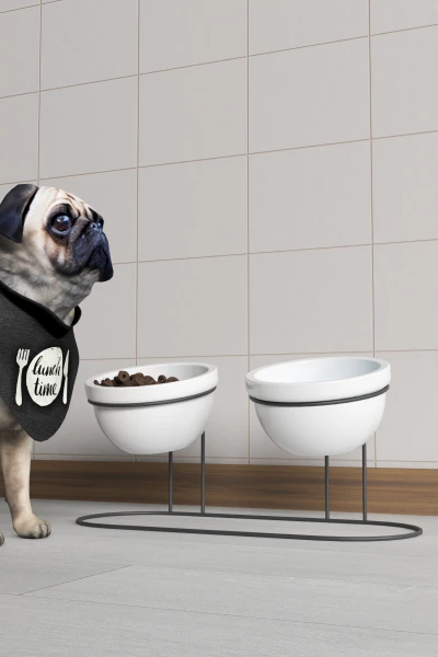 2 Li Seramik Mama Ve Su Kabı Metal Standlı Kedi Köpek Mama Kabı Evcil Hayvan Mama Kasesi