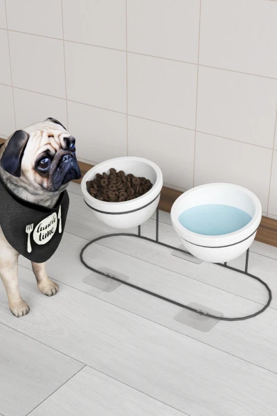 2 Li Seramik Mama Ve Su Kabı Metal Standlı Kedi Köpek Mama Kabı Evcil Hayvan Mama Kasesi