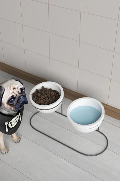 2 Li Seramik Mama Ve Su Kabı Metal Standlı Kedi Köpek Mama Kabı Evcil Hayvan Mama Kasesi