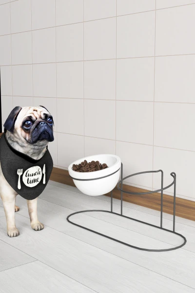 2 Li Seramik Mama Ve Su Kabı Metal Standlı Kedi Köpek Mama Kabı Evcil Hayvan Mama Kasesi