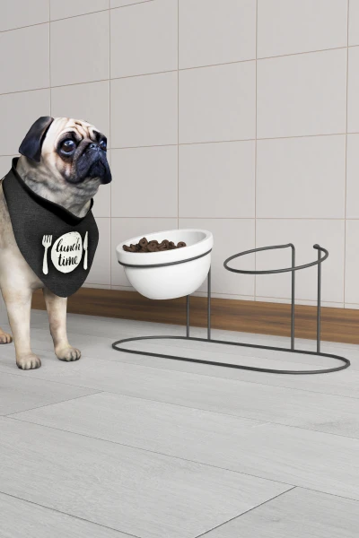 2 Li Seramik Mama Ve Su Kabı Metal Standlı Kedi Köpek Mama Kabı Evcil Hayvan Mama Kasesi