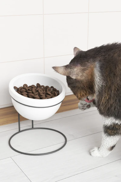 Seramik Mama Ve Su Kabı Metal Standlı Kedi Köpek Mama Kabı Evcil Hayvan Mama Kasesi