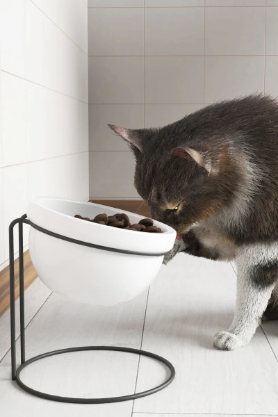 Seramik Mama Ve Su Kabı Metal Standlı Kedi Köpek Mama Kabı Evcil Hayvan Mama Kasesi