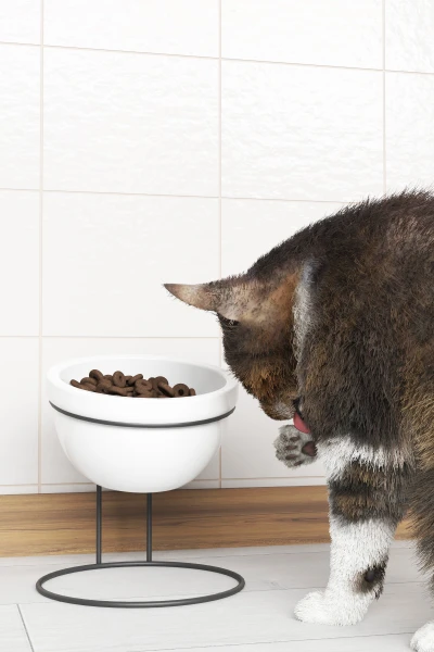 Seramik Mama Ve Su Kabı Metal Standlı Kedi Köpek Mama Kabı Evcil Hayvan Mama Kasesi