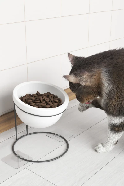 Seramik Mama Ve Su Kabı Metal Standlı Kedi Köpek Mama Kabı Evcil Hayvan Mama Kasesi